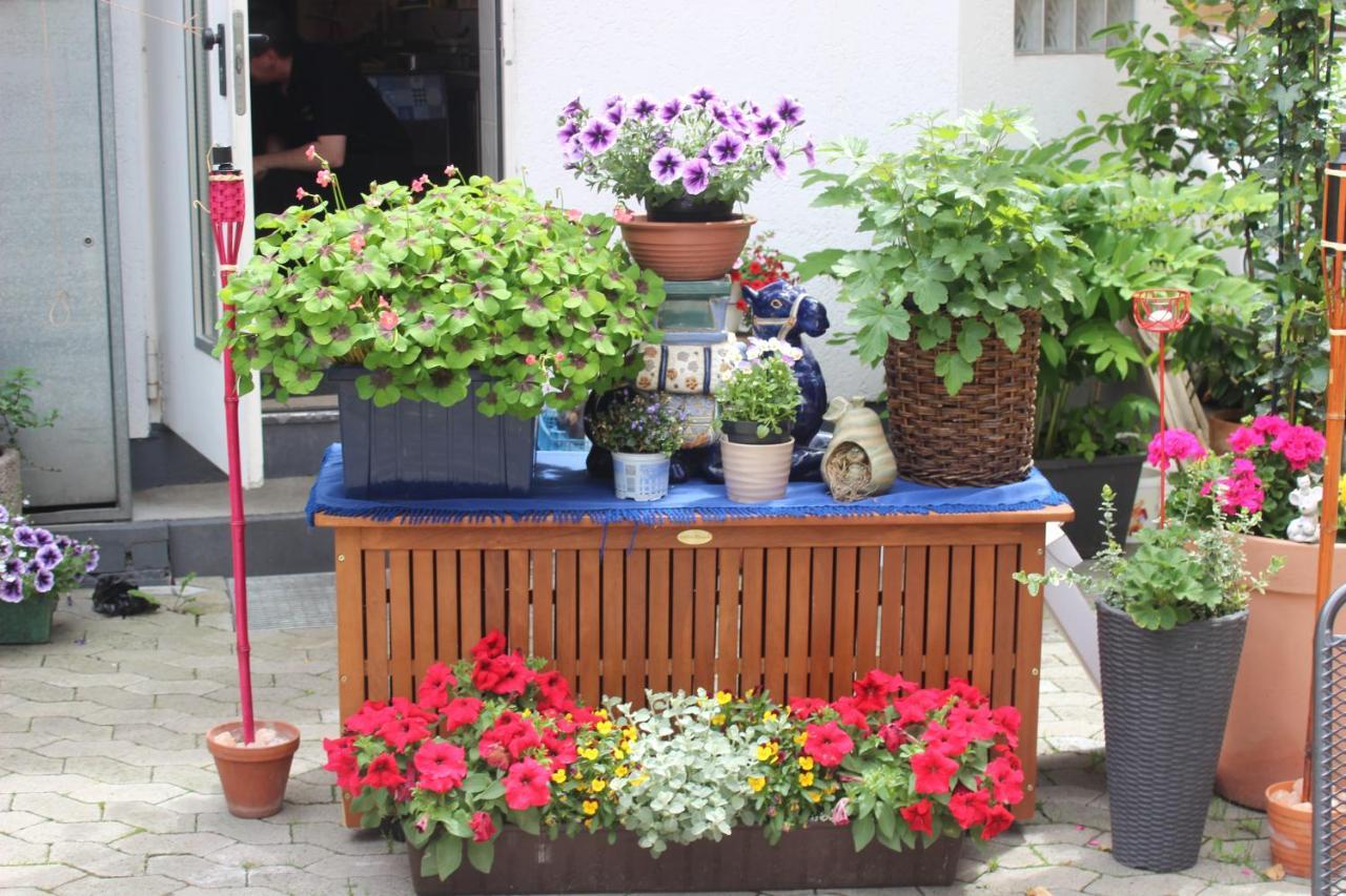 Restaurant / Pension Mainzer Tor Alsfeld Extérieur photo